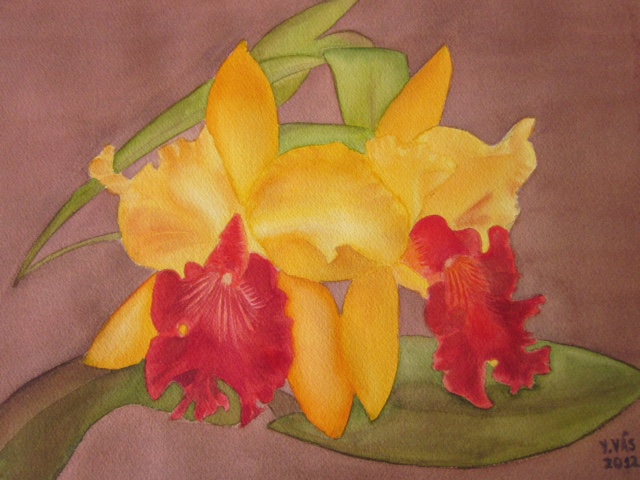 Yvette Vas yellow and red orchids