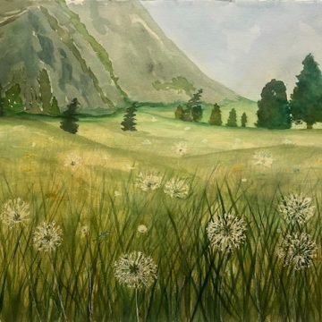 Boulder Dandelions